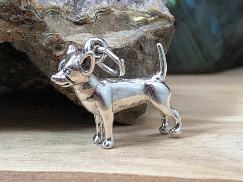 Op de afbeelding: Een zilverkleurige Chihuahua hondenbedel met een lus om aan een ketting of armband te bevestigen. De hond staat met zijn staart omhoog en oren omhoog. De bedel is zeer gedetailleerd en heeft een gepolijste afwerking.