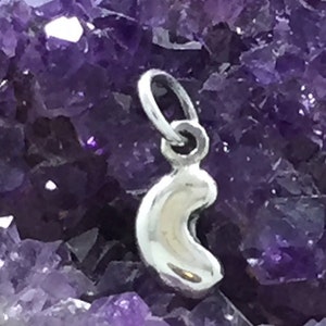 May include: A small, shiny silver charm in the shape of a kidney bean, suspended from a loop. The charm is set against a background of deep purple amethyst crystals, creating a striking contrast.