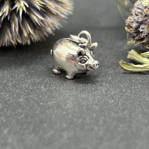 Puede incluir: Un pequeño dije de cerdo plateado con un lazo para un collar o pulsera. El cerdo tiene detalles, incluyendo orejas pequeñas, un hocico y pies diminutos. El dije está sobre un fondo gris oscuro con flores secas.