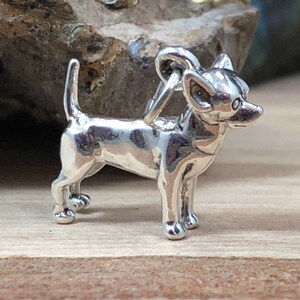 Op de afbeelding: Een kleine, zilverkleurige Chihuahua-bedel. De hond staat met zijn staart omhoog en heeft gedetailleerde kenmerken. De bedel heeft een lus aan de bovenkant om aan een ketting of armband te bevestigen. De bedel ligt op een houten oppervlak.