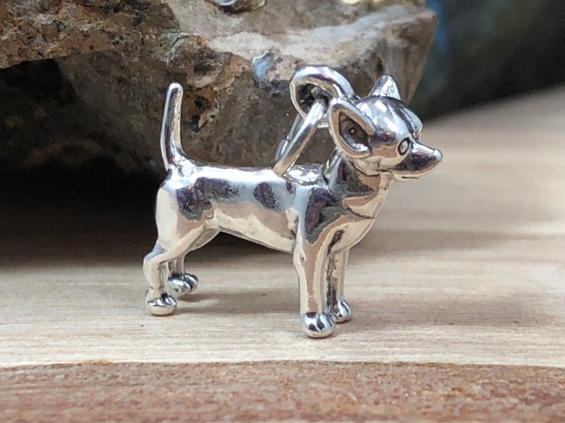 Op de afbeelding: Een kleine, zilverkleurige Chihuahua-bedel. De hond staat met zijn staart omhoog en heeft gedetailleerde kenmerken. De bedel heeft een lus aan de bovenkant om aan een ketting of armband te bevestigen. De bedel ligt op een houten oppervlak.