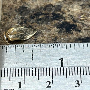 Leaf Charm, Leaf Pendant, Nature Pendant, Nature Charm, Small Leaf Charm, Natural Bronze Charm bild 3