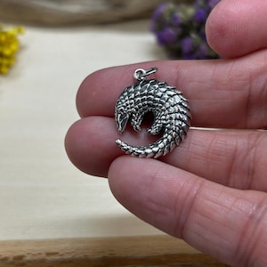 May include: A detailed silver pangolin pendant. The pendant is in the shape of a curled pangolin, with textured scales covering its body. It has a small loop at the top for a chain. The pendant is a unique piece of jewelry.
