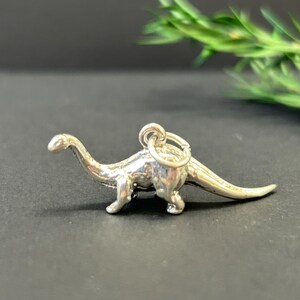 Puede incluir: Un charm de plata con forma de dinosaurio. El charm tiene un bucle en la parte superior para sujetarlo a una pulsera o collar.