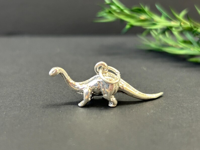 Puede incluir: Un charm de plata con forma de dinosaurio. El charm tiene un bucle en la parte superior para sujetarlo a una pulsera o collar.