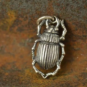 Sterling Silver Beetle Charm, Bug Charm, Beetle Charm, Beetle Pendant, Insect Charm, Sterling Silver Charm, Silver Charm