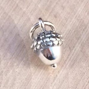 Acorn Charm, Acorn Pendant, Tiny Acorn Charm, Nature Charm, Natural Charm, Nature Pendant, Sterling Silver Charm, TINY, PS01106