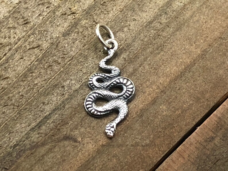 May include: A silver snake charm pendant. The snake is coiled and has a detailed, textured surface.