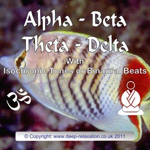 Alpha - Beta - Theta - Delta  Mp3 recording With Binaural Beats or Isochronic Tones - Instant download Brainwave Entrainment files that work