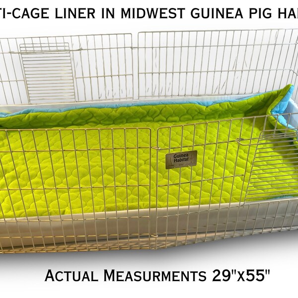 Image showcasing Guinea Pig Liner - Etsy
