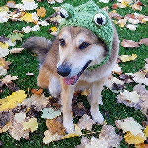 Crochet PDF Pattern, Make your own Dog Costume Dinosaur, Shark, and Frog to add onto Hound Hoodie, Dog Scarf, Pet Accessories, Dog Snood image 4