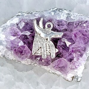 May include: Silver Anubis pendant charm resting on a bed of purple amethyst crystals.