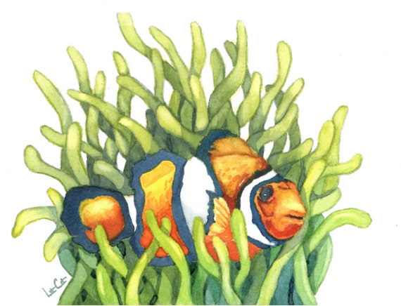 カクレクマノミのオリジナル水彩画 - Etsy 日本