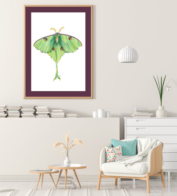 Luna Moth Original Watercolor Painting