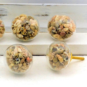 Glass Seashell Knob, Seashell Drawer Pull, Beach House, Coastal Bathroom Cabinet Hardware, Sea Shell Round knob