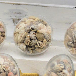 Glass Seashell Knob, Sea shell Drawer Pull, Beach House Decor, Coastal Bathroom Hardware