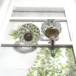 May include: Two clear glass cabinet knobs with a textured, bubble-like design. Each knob features a brass-colored base and a threaded bolt for installation. The knobs are displayed against a white background with a green floral print.