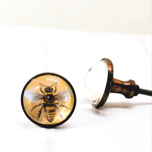 Glass Honey Bee Knob, Insect Drawer Pull, Hornet Door Handle, Flower Pollinator Hardware