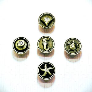 May include: Five decorative cabinet knobs with a coastal theme. Each knob features a different sea creature: a seashell, a seahorse, a turtle, a starfish, and a spiral shell. The knobs have a metallic finish and a circular design.