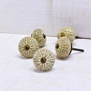 Urchin Seashell Knob, Beige Sea shell Drawer Pull, Coastal door handle, Beach House Cabinet Hardware