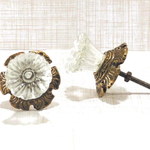 Glass Floral Knob with Umbrella base, Bronze Scallop Drawer Pull,