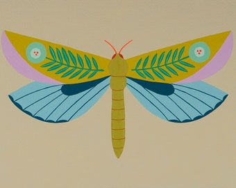 dragonfly specimen #1