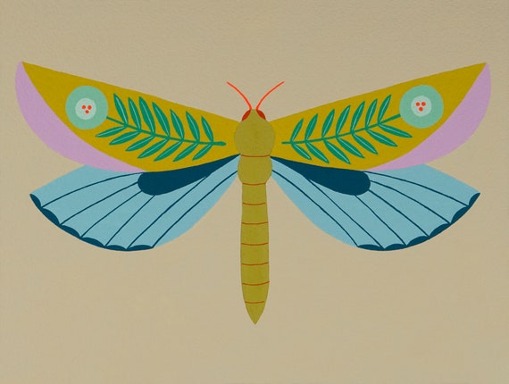 dragonfly specimen #1