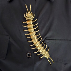 Cubierta del botón de ciempiés