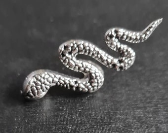 May include: A silver snake charm with a textured surface.
