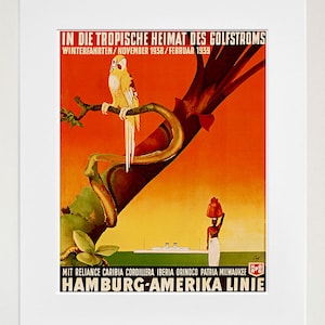 May include: A vintage travel poster advertising cruises to the tropics with the Hamburg-Amerika Linie. The poster features a parrot perched on a branch, a person carrying a basket on their head, and a ship in the distance. The text reads "In die tropische Heimat des Golfstroms" and "Winterfahrten/November 1938/Februar 1939".