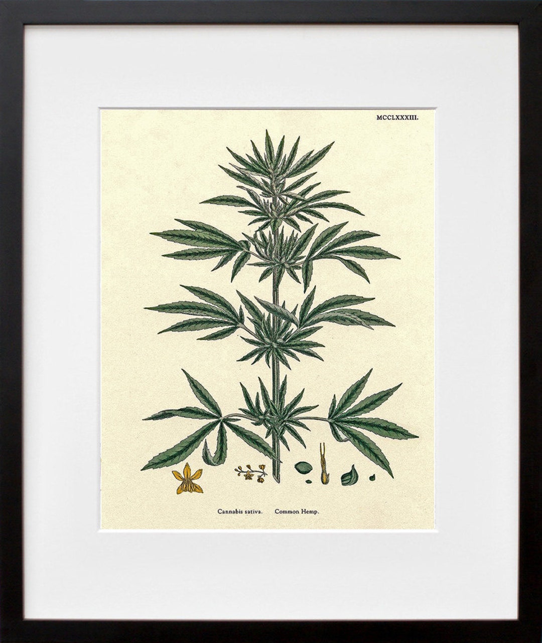 大麻アート 麻植物 壁飾り - Etsy 日本