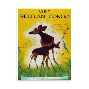 Congo Art Africa Travel Poster African Print (XR2226)a