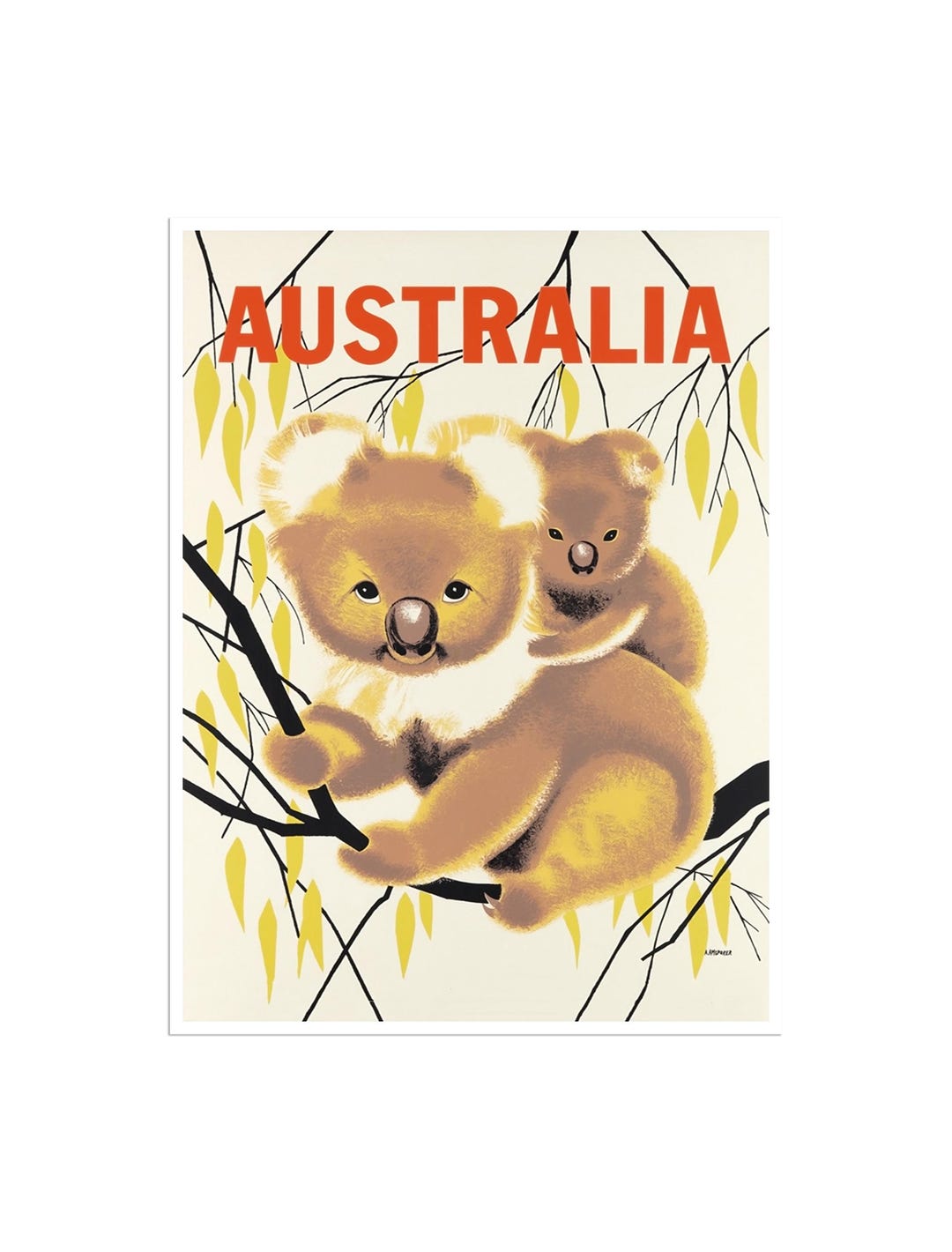 Australia Travel Poster Australian Art Koala Bears Print (xr1426)a - Etsy