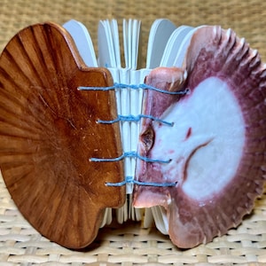 Scallop Shell and Leather Sketchbook / Journal