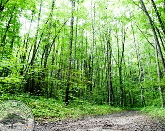 Landscape Photography | Great Smoky Mountains | Digital Download