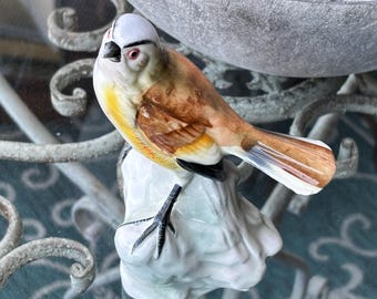 Vintage Red Eyed Wren Porcelain Figurine Bird Collection JSC Richmond 1977 Hand Painted Songbird Statue