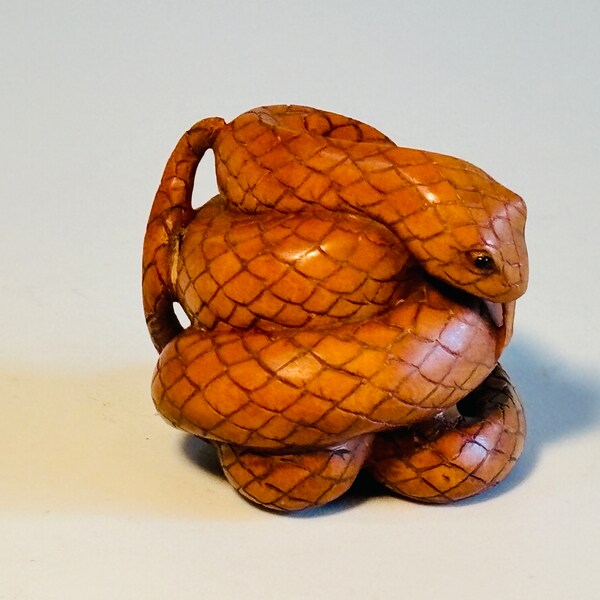 Hand Carved Boxwood Coiled Snake Netsuke, Wooden Black Eyed Snake Charm, Artist Signed Year of the Snake