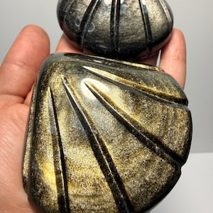 May include: Two polished golden obsidian stones carved into the shape of seashells. The stones feature a dark black base color with a shimmering, metallic gold sheen and deep, linear grooves radiating from the hinge to the outer edge of the shell.