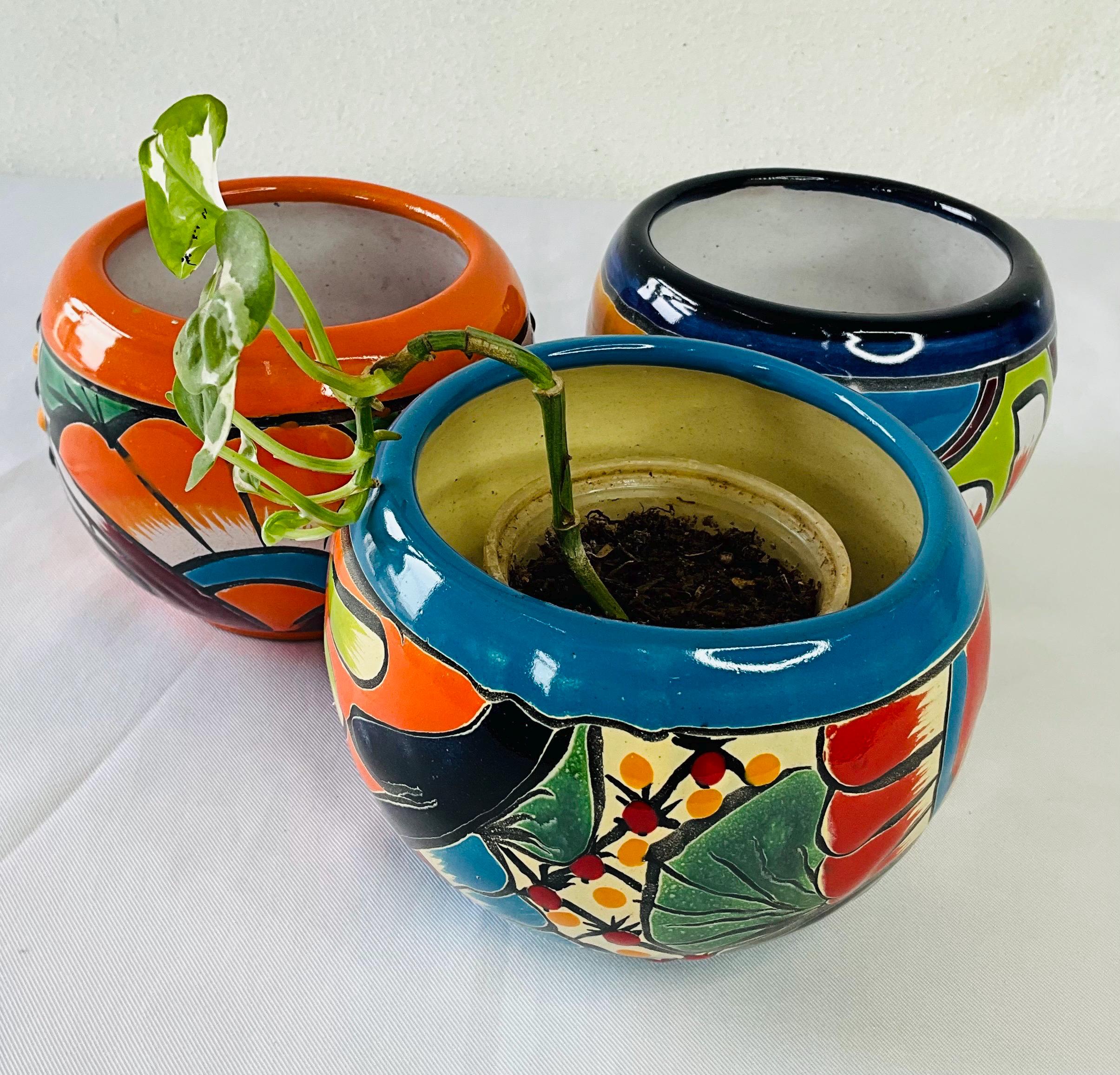 Round colorful flower pot