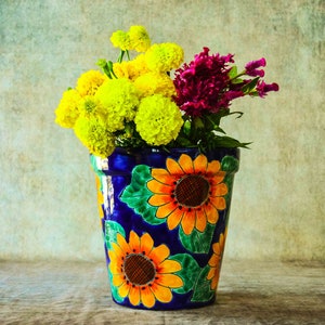 Talavera colorful Pot