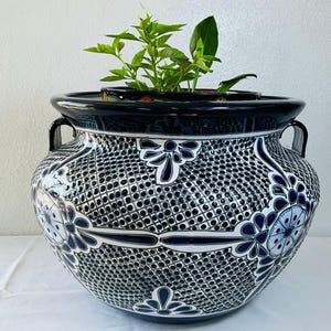 Op de afbeelding: Grote, ronde, blauw-witte keramische plantenbak met een rasterpatroon en bloemmotieven. De plantenbak heeft een brede, zwarte rand en twee handvatten. Groene planten groeien in de plantenbak.