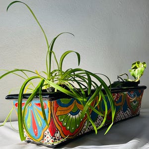 Bunter Talavera-Langtopf