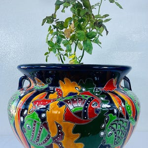 Michoacana Talavera