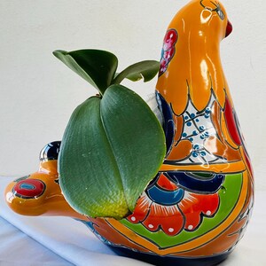 Pot dove small