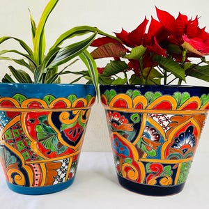 Colorful Medium Vaso Talavera Pot