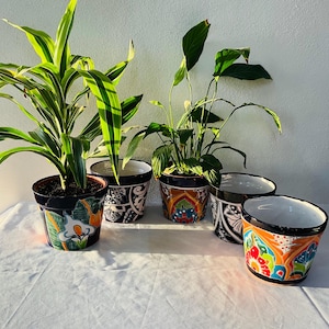 May include: Four colorful ceramic flower pots with plants. The pots have a black base with intricate designs in shades of blue, green, yellow, and red. The plants are a variety of green foliage.