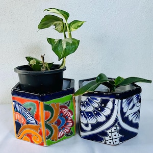 Puede incluir: Dos macetas decorativas de cerámica con plantas. Una maceta está pintada con diseños florales naranjas, verdes y azules. La otra maceta está pintada con patrones florales azules y blancos. Las plantas tienen hojas verdes y blancas.