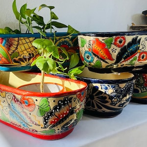 May include: A collection of hand-painted ceramic planters in various shapes and sizes. The planters feature vibrant floral and butterfly designs in red, orange, blue, and yellow. Some planters contain green plants, adding a natural element to the display.