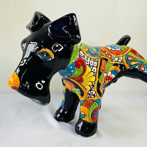 Talavera Schnauzer Hond