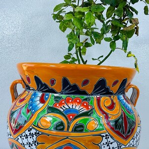 Middelgrote Michoacaanse Talavera